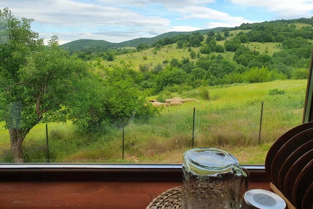 Luxury Villa Bella Lyaskovo Village Bagian luar foto